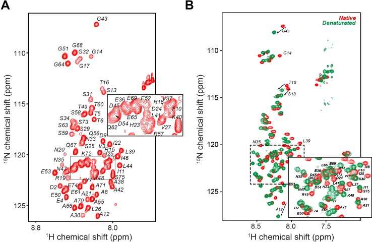 Figure 2—figure supplement 1.