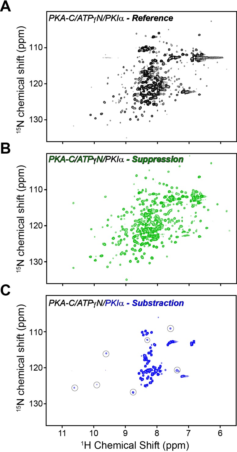 Figure 3—figure supplement 1.