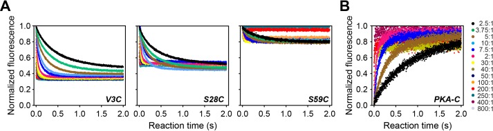 Figure 6—figure supplement 1.