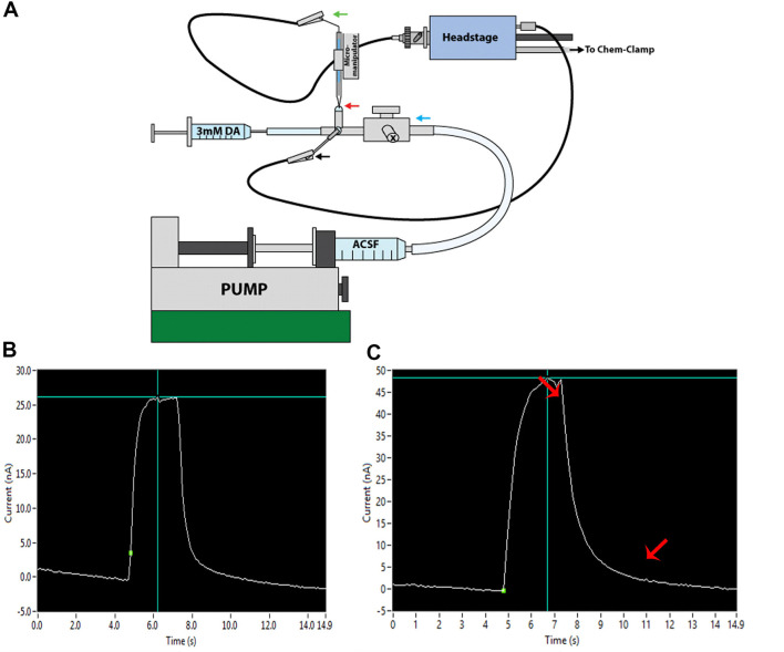 Figure 6.