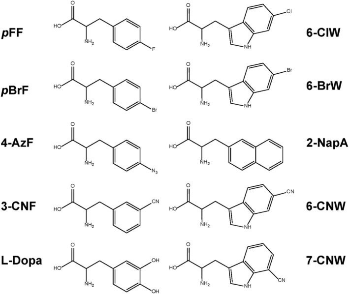 FIGURE 2