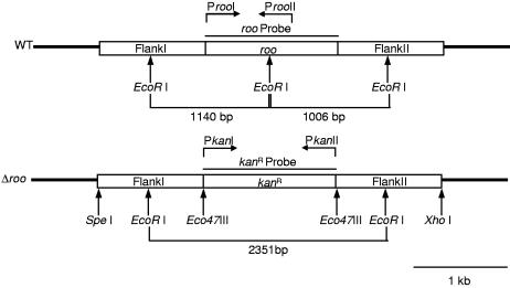 FIG. 5.