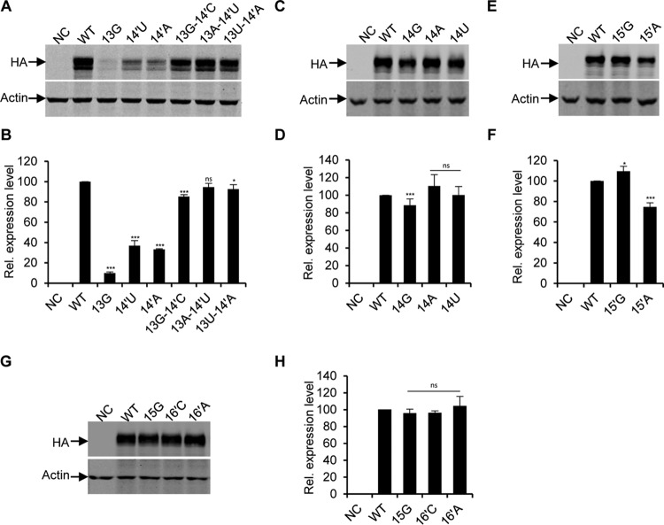 FIG 3