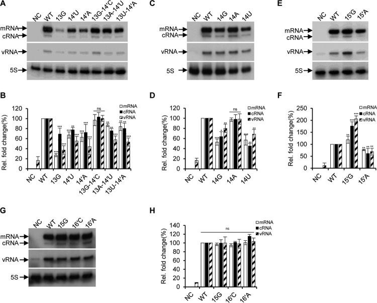 FIG 2