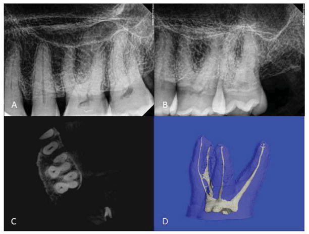 FIGURE 1