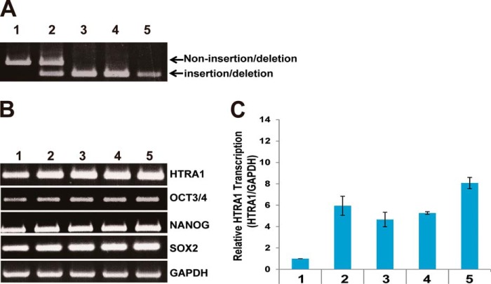 FIGURE 5.