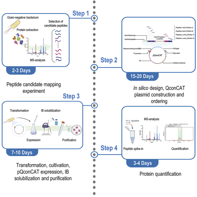 graphic file with name fx1.jpg