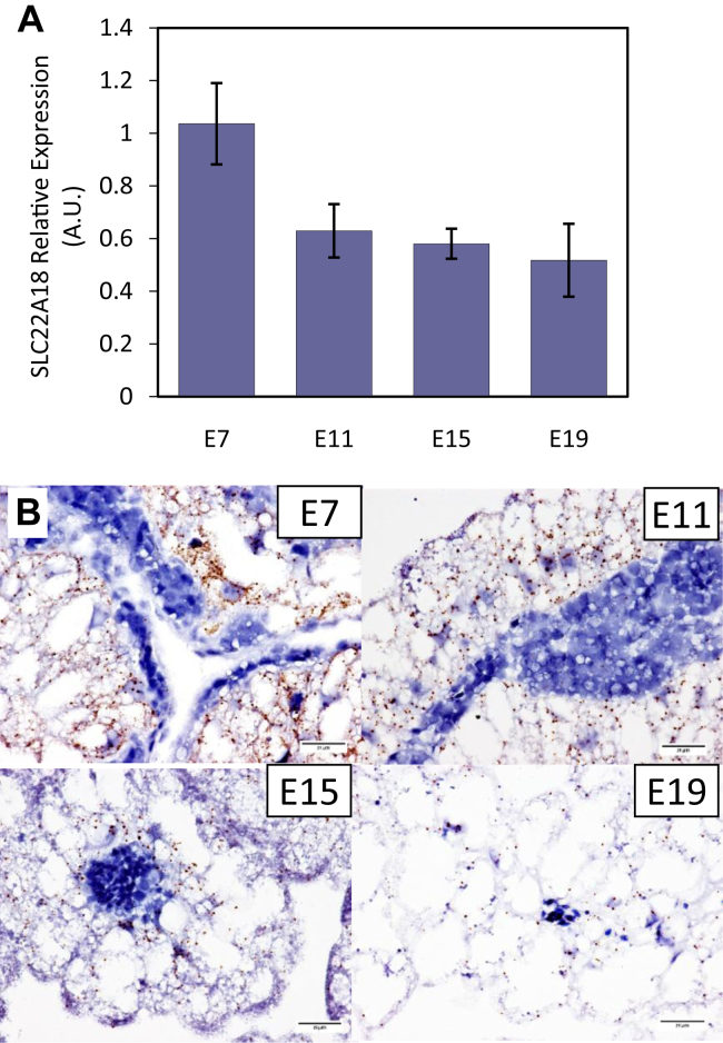 Figure 7