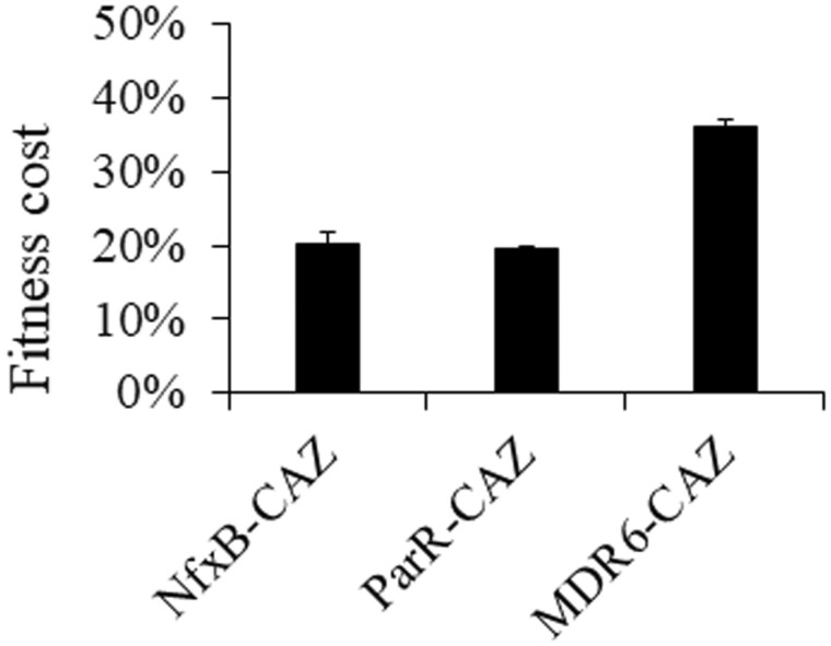 Fig. 2.