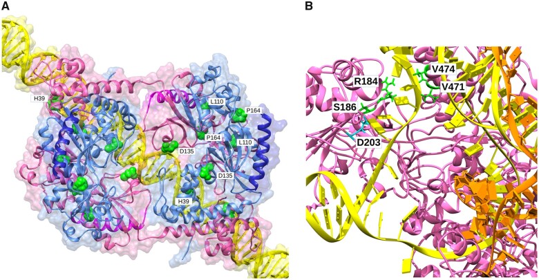 Fig. 7.