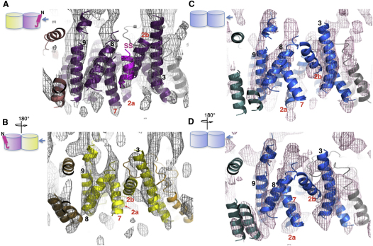 Figure 3