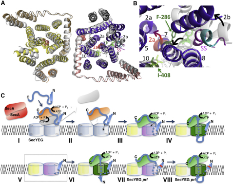 Figure 4