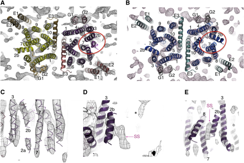 Figure 2