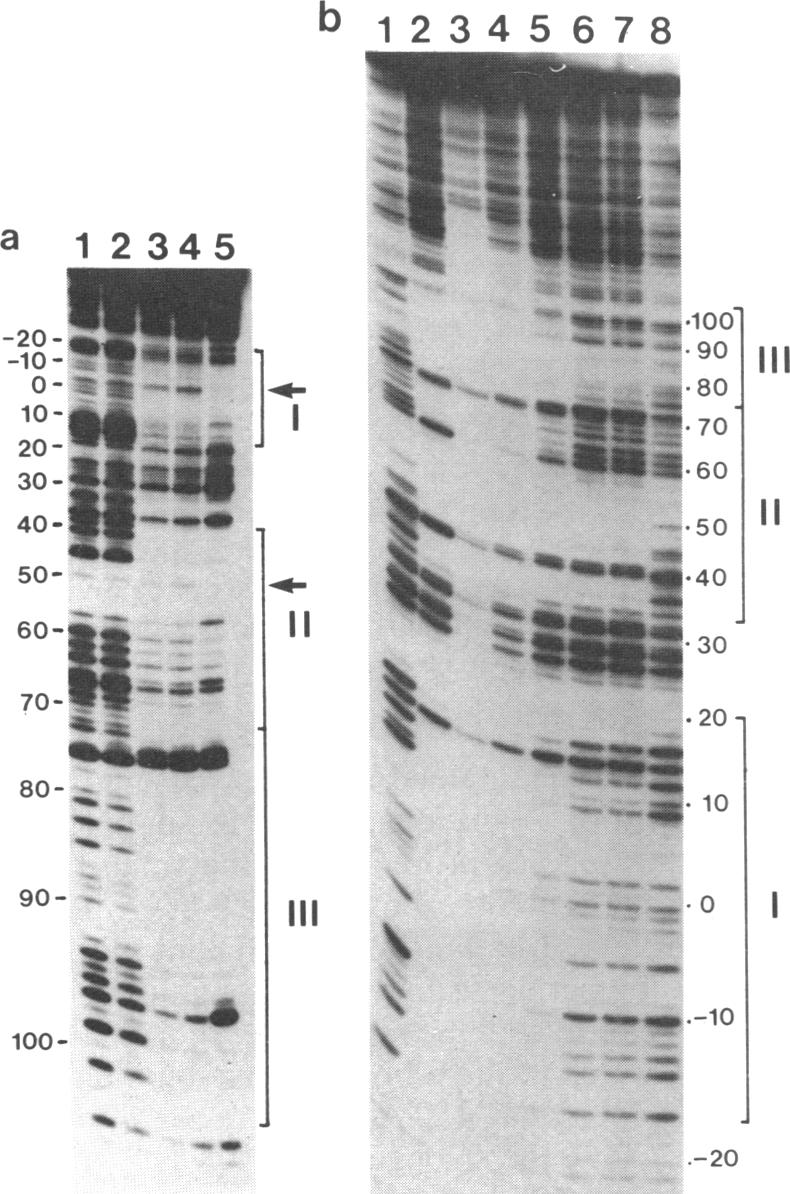 graphic file with name pnas00608-0080-a.jpg