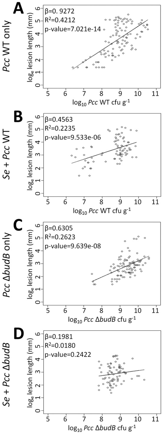 FIG 3 