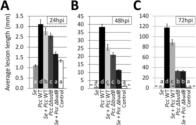 FIG 2 