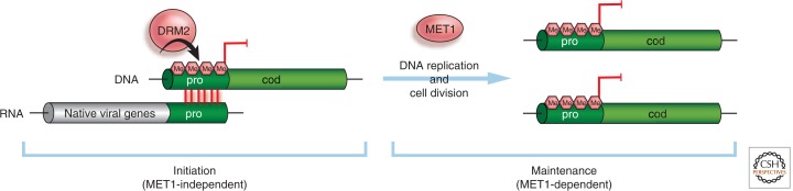 Figure 10.