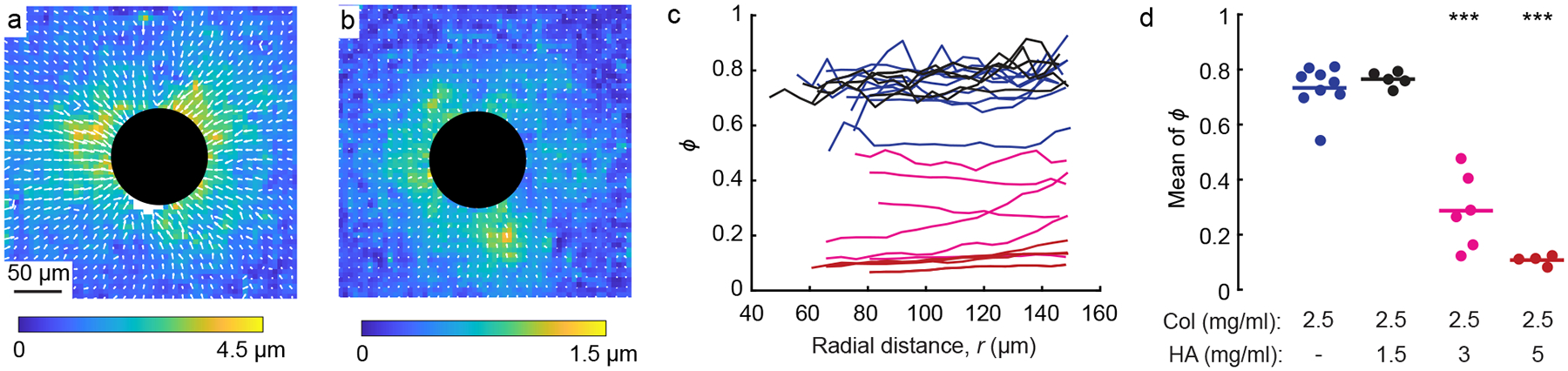 Figure 5: