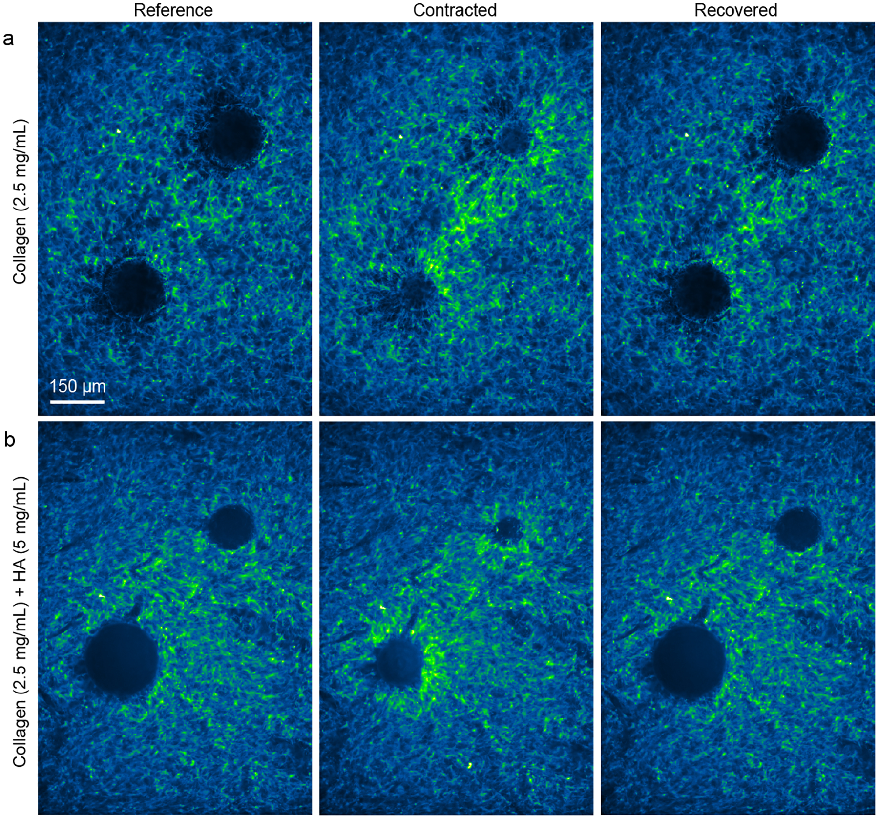 Figure 6: