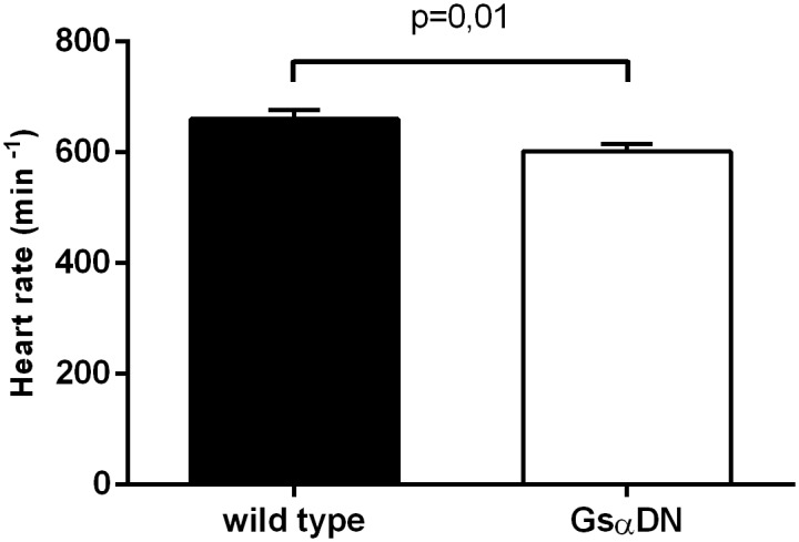 Fig 5