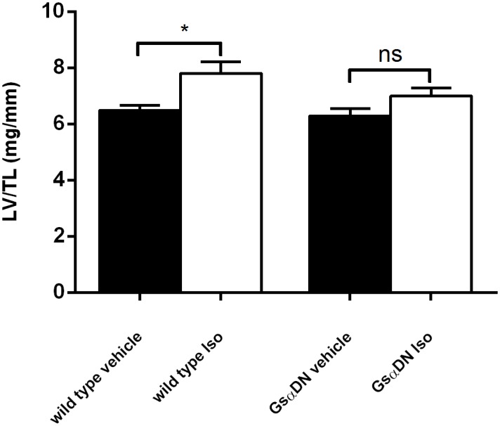 Fig 10