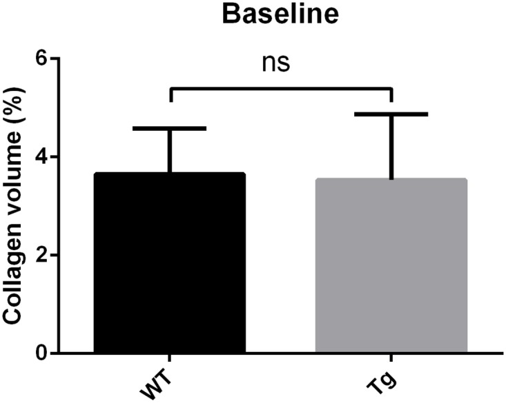 Fig 13