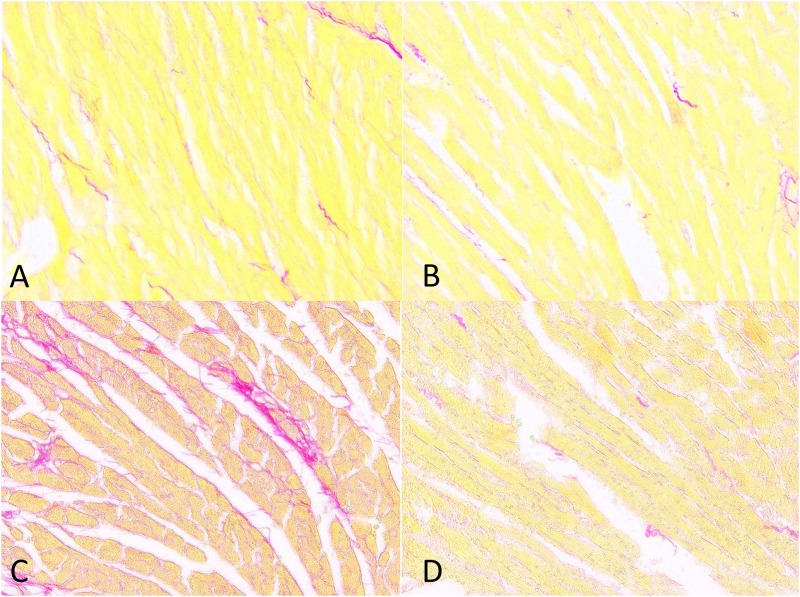 Fig 12