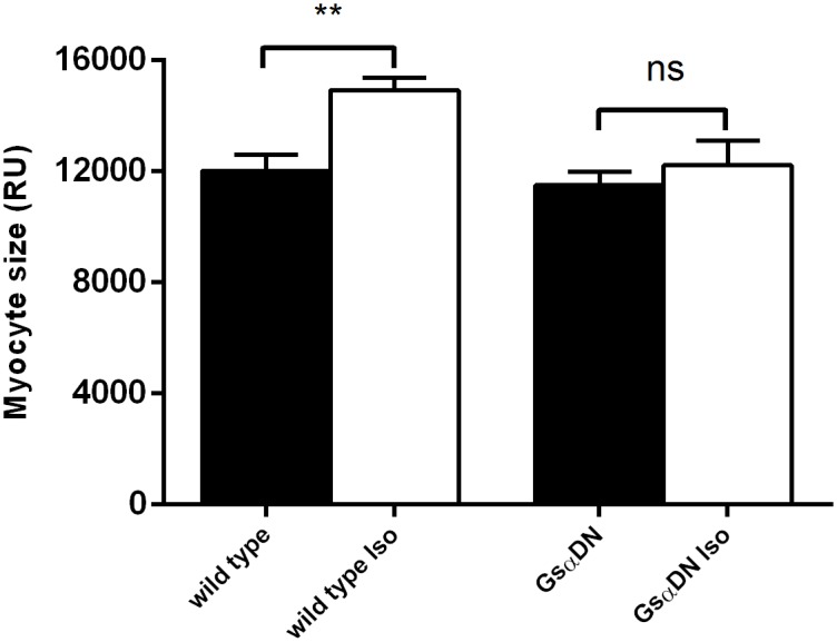 Fig 11