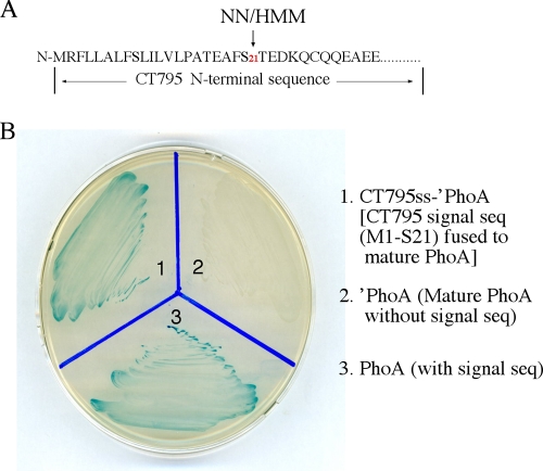 Fig. 8.