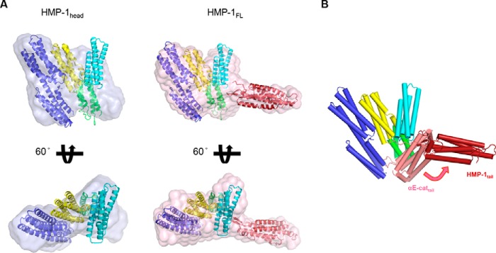 Figure 5.