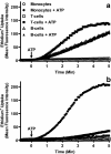 Fig. 4