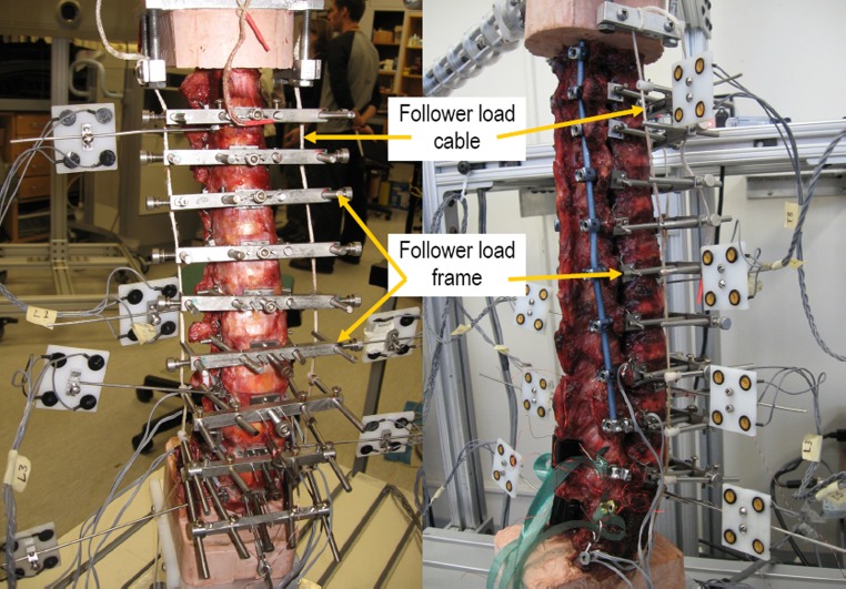 Fig. 2