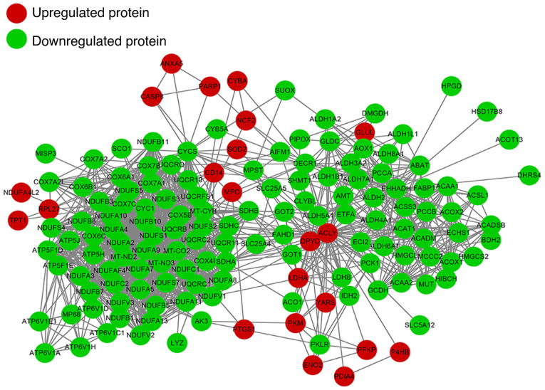 Figure 4.