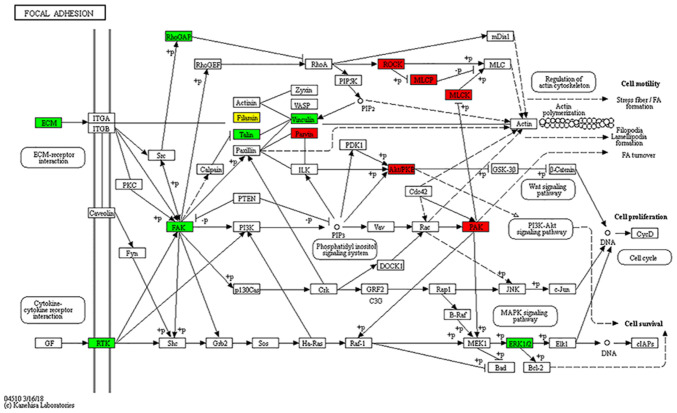 Figure 7.