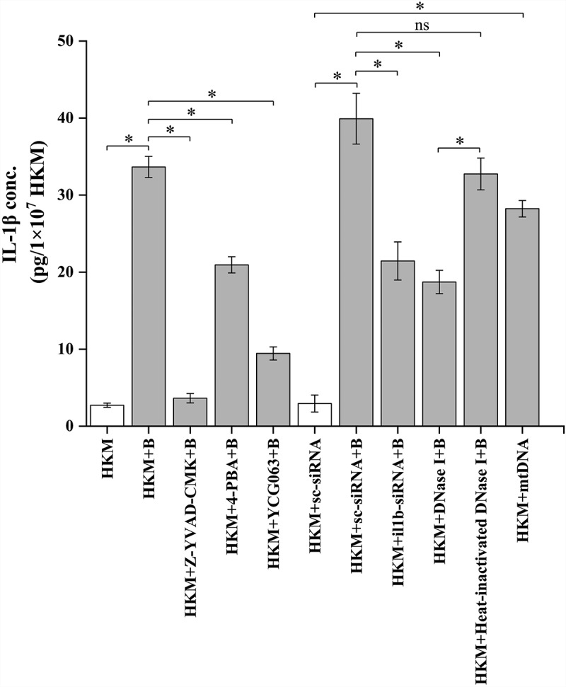 Figure 6.