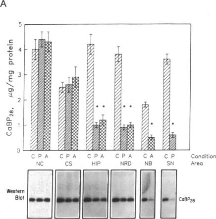 graphic file with name pnas01036-0067-d.jpg