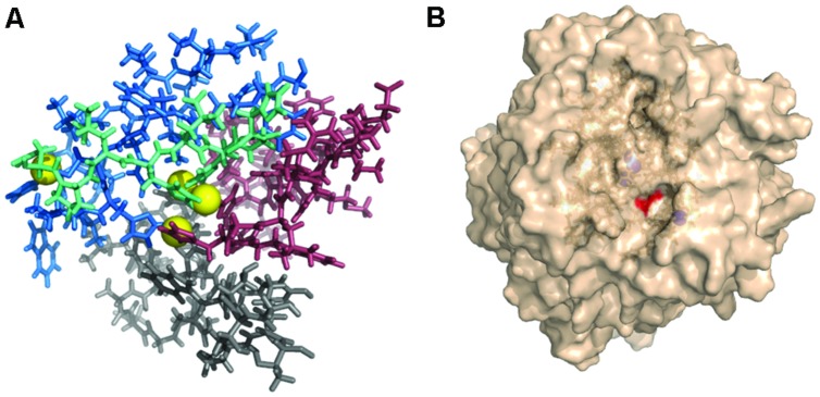 FIGURE 9