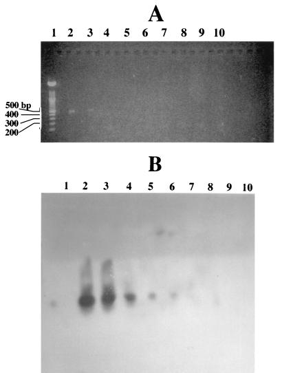 FIG. 6