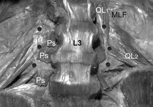 Fig. 5