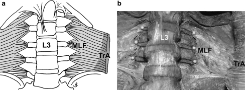 Fig. 3