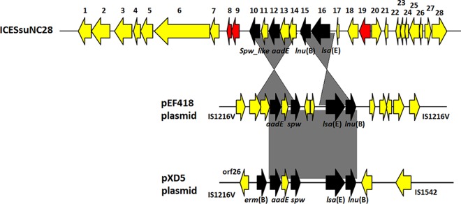 FIG 1