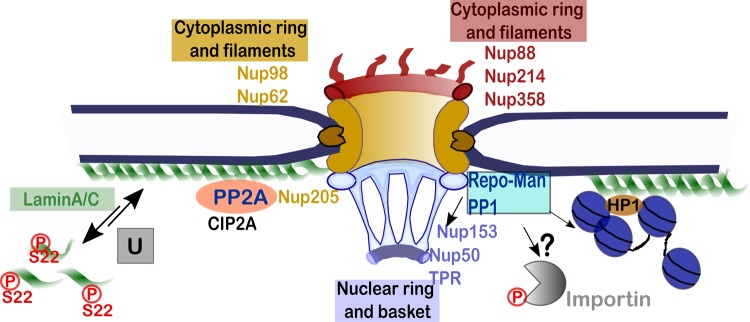 Figure 2.