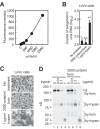 FIG 6