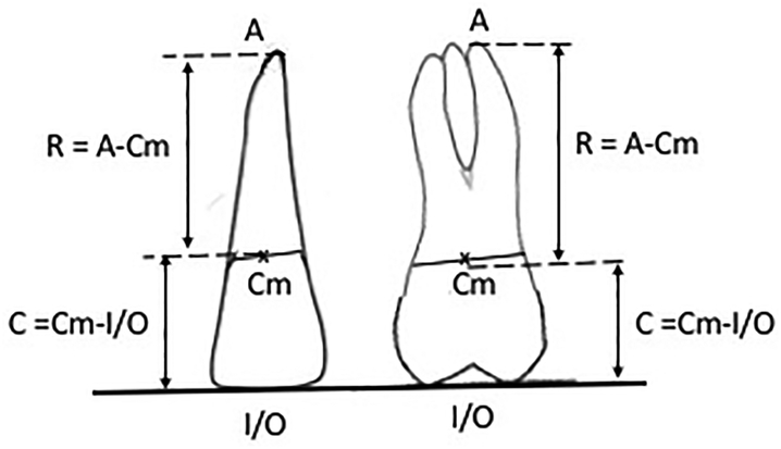 Figure 2.