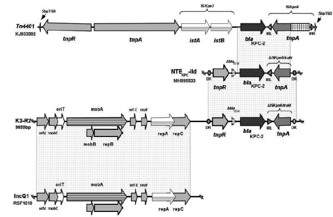 FIGURE 1: