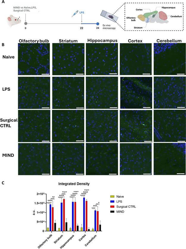 Figure 6