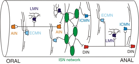 Fig. 1