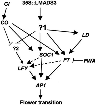 Figure 8.