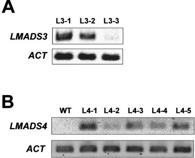 Figure 5.