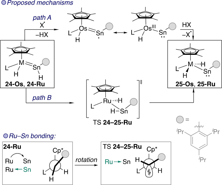 Scheme 8